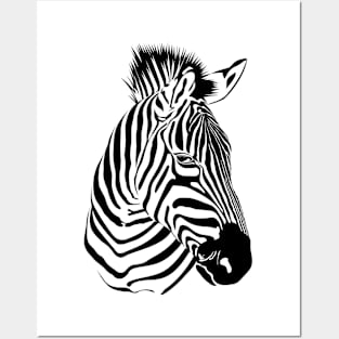 Black Zebra Posters and Art